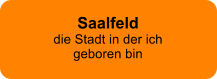 Saalfelddie Stadt in der ich geboren bin