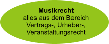 Musikrecht alles aus dem Bereich Vertrags-, Urheber-, Veranstaltungsrecht