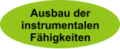 Ausbau der instrumentalen Fhigkeiten